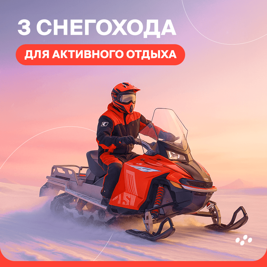 3-snegokhoda-dlya-aktivnogo-otdykha